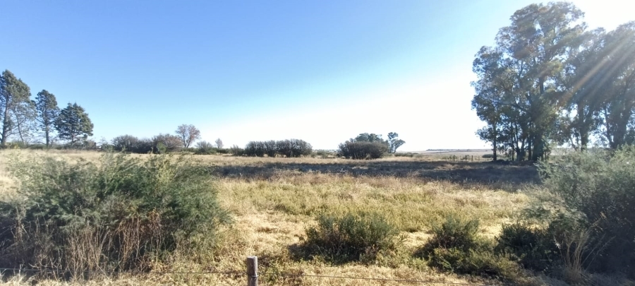 5 Bedroom Property for Sale in Edenburg Free State